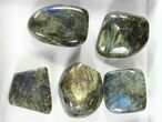 Lot: Lbs Free-Standing Polished Labradorite - Pieces #77649-1
